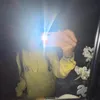 yourfavanstasia_