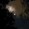 habiba.emam53