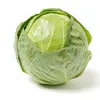 i.am_raw.cabbage