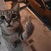liara.walters8