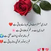 whela.jutt2