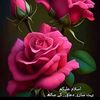 muhammad.mujhad27