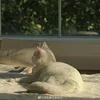 girldody2