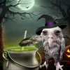 fadi_properdun