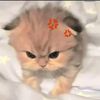 _emily_5768