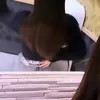wo.gru2