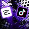 user6592431350215