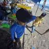 chiz_247
