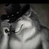 jul_bnn16