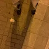 fry_huh
