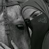 yasaminalsham28