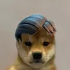 papapappa78