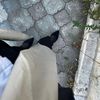 sondos.abukhamees