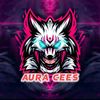 aura_cees25