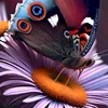 ignatueva7