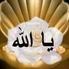 user2815052995768