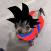 perrito.goku6