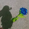 malak161752