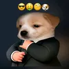 mosholuboy_009