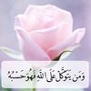rupy.shawky
