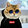 sayed.parwiz.sada3