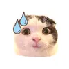 pvm_huynh.riu