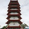 tongeng88