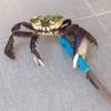 crab_2281