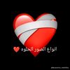user415154931779