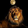 ወዲ ንጉስ 🤴🌿