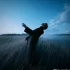 anhcd611