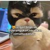 szanyarzn