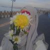 nur12345545