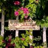 reham72785