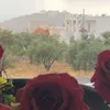 rozalina.khrisat