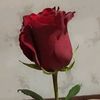 user4046011657314