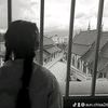 plina08_3
