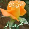 salamaljorany508