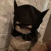 nquynhvuive7