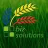 BIZ SOLUTIONS