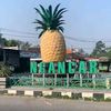 putra_persik_simbolungu