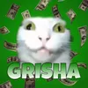 grisha_123_gamer