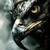 kazim__31388
