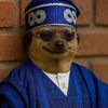faruk_2_6