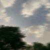 have_4444