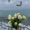 amal_halal1077