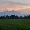 megasurya.gurun