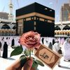 user5300533674341