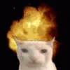babomp7