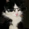 htfindisguise
